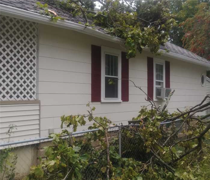 Image shows a home damaged by a fallen tree after a large storm.